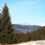 Besník vzadu Vysoké Tatry IMG_6790