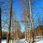 Betliasky kaštieľ - Park 8069