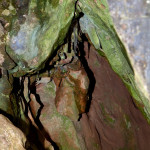 Ardovská jaskyňa IMG_8279