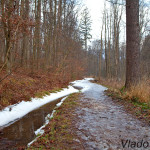 Kašrieľ Betliar - park IMG_7807