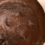 Calophasia lunula - Mora pyšteková 12-33-53vs