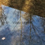 Kaštieľ Betliar - park IMG_8611