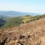 Požiarovisko za Betliarom IMG_6437