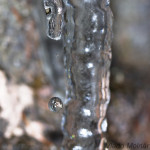 Stratenský kaňon - netečie iba kvapká IMG_3923