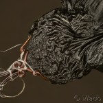 Angerona prunaria - Listnatka trnková 20-43-27